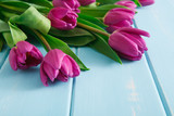 Fototapeta Tulipany - Flowers background, Violet tulips on blue wood, copy space