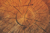 Fototapeta Las - Natural wooden background, closeup