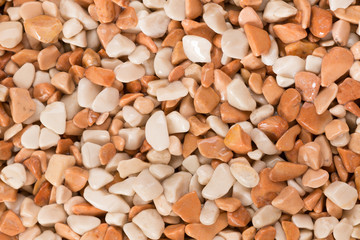 Wall Mural - Small orange and white wet pebble stone floor background texture.