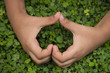 Little boys hand forming a heart "I love you"on grass background. 