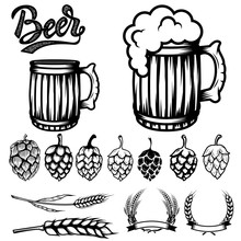 Set Of Components For Beer Labels Design. Beer Mugs, Hops, Wheat. Vector Illustration