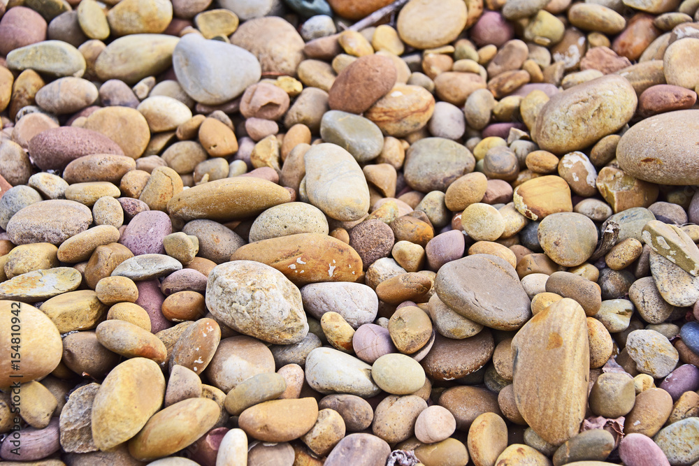 Cobble Type Rocks Sedimentary Stone Cobble Rock Stock Photo | Adobe Stock