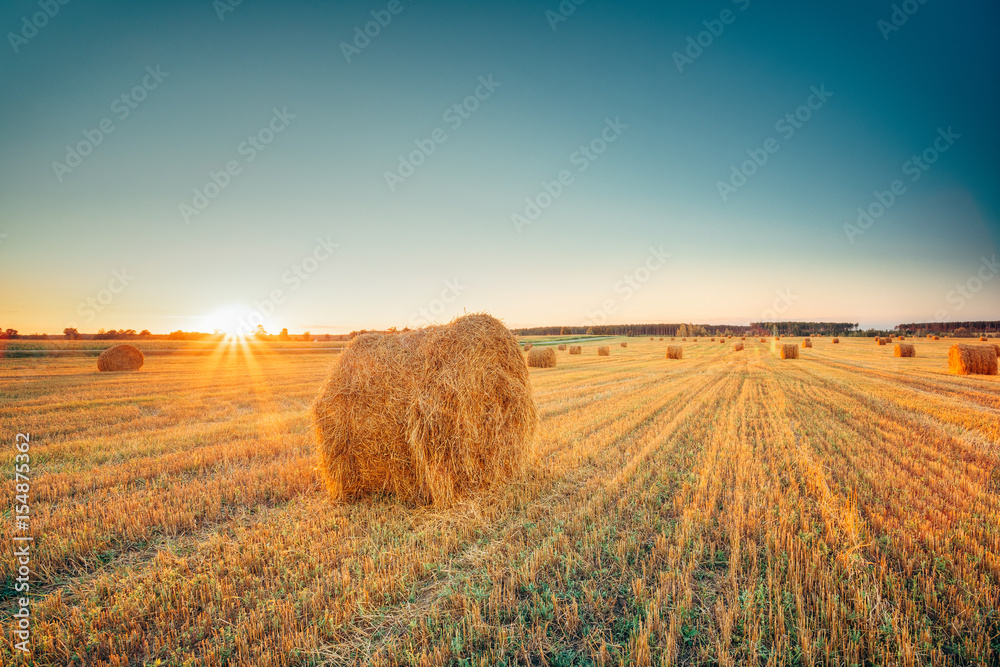 Rural Landscape Field Meadow With Hay Bales After Harvest In Sunny Evening At Sunset - obrazy, fototapety, plakaty 