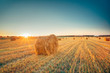 Rural Landscape Field Meadow With Hay Bales After Harvest In Sunny Evening At Sunset