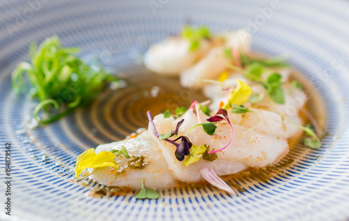 Closeup Of Raw Scallops Fine Dining Fresh Sashimi Dish Closeup Of Raw Scallops Fine Dining Fresh Sashimi Dish Is A