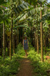© allenkayaa - Young woman in the jungle in tropical spice plantation, Goa, India