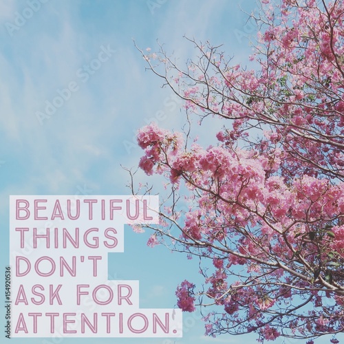 Fotografie, Obraz Inspirational motivational quote "beautiful things don't ask for attention" on pink flower with blue sky