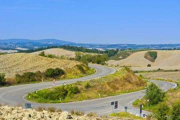 Canvas Print - Asphalt road between fields