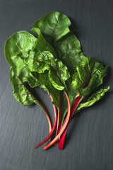 Wall Mural - Top view of fresh beet leaves on the dark background