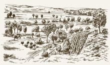 Vintage Landscape, New England Farm, Hand Drawn Vector Illustration.