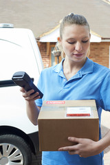 Wall Mural - Female Courier Delivering Package To Domestic House