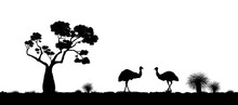 Australian Landscape. Black Silhouette Of Emu Ostrich On White Background. The Nature Of Australia. Isolated Vector Graphic