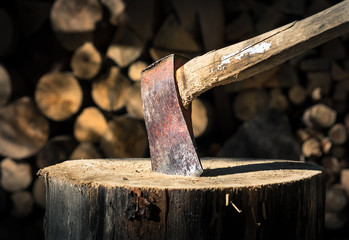 Old ax attached to the tree trunk with nice wooden background.