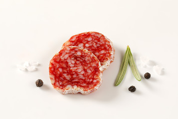 Wall Mural - slices of French dry cured salami with spices