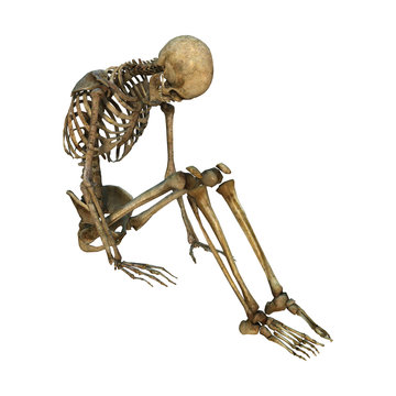 3D Rendering Human Skeleton on White