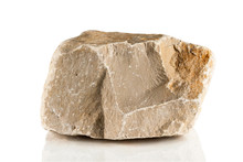 Fragment Of Limestone