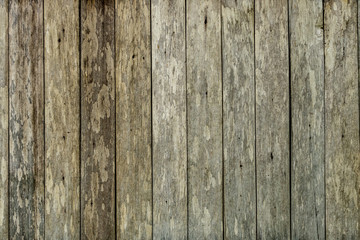 Wall Mural - Brown wood texture