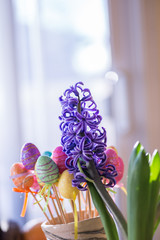 Wall Mural - Violet Hyacinth Flower and a Colorful Easter Glittery Plastic Eggs
