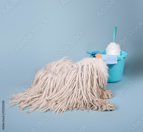 Foto Stock Puli Hund als Wischmop mit Putzeimer Adobe Stock