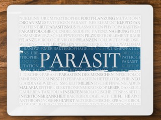 Sticker - Parasit