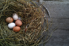 Fresh Chicken Eggs In A Nest In The Chicken Coop, Flat Lay.