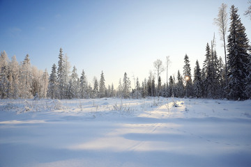 winter landscape footprints in the snow