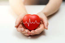 Cardiology Or Health Insurance Concept - Red Heart In Hands