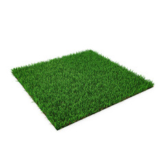 Wall Mural - Square of green grass field on white. 3D illustration