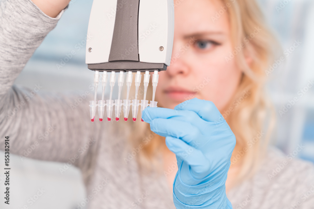 Young female scientist loads samples DNA amplification by PCR into ...