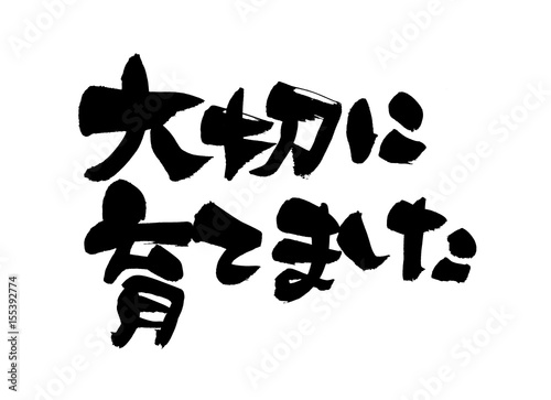 筆文字 大切に育てました Stock イラスト Adobe Stock 筆文字 大切に育てました Stock イラスト Adobe Stock