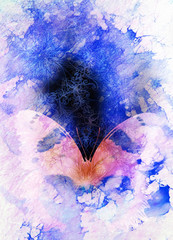 Fototapete - Color Butterfly with ornament and white background.