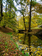 Beautiful autumn park