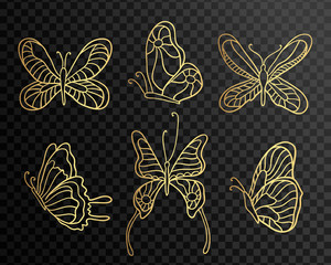 Canvas Print - Set of butterflies. Butterfly icons isolated on transparent background. Gold Lace butterfly on black background.