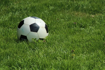 Soccerball on grass/ The football on green lawn.