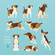 beagle dog various poses flat design illustration set
