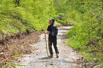 Hiker walk through the forest. Mountaineer walking on the rural  road in mountain