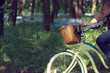 summer trip in the park/ Man drives a bicycle, moving through a forest 