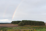 Fototapeta Tęcza - Landscape, view of the forest near the field, rainbow.