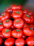 Fototapeta Kuchnia - Delicious red tomatoes