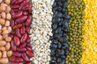 © Lab_Photo - Different kinds of bean seeds