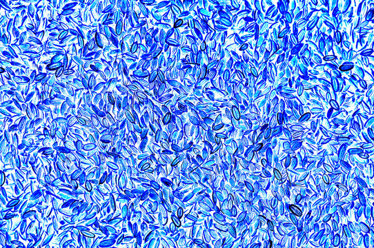 Seeds in blue color background. Ornament of blue natural seeds.
