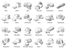 Graphic Sketch Of Different Cheeses. Vector Set Of Realistic Outline Dairy Products. Isolated Curds Collection Used For Logo Design, Recipe Book, Advertising Cheese Or Restaurant Menu.