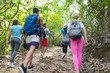 © mast3r - People Group With Backpacks Trekking On Forest Path Back Rear View, Young Men And Woman On Hike Tourists Hiking