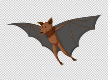 Wild Bat Flying On Transparent Background