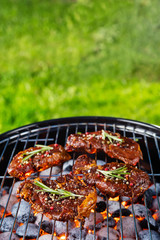 Wall Mural - Beef steaks on the grill grate with fiery coals