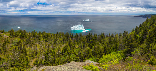 Colorful view of Icebergs near St. John's, Newfoundland, Canada, North America