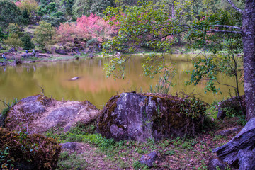 Canvas Print - Ancient stone with green lake at Chiangmai province