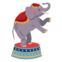 Wall Mural - elephant circus entertainment balance icon vector illustration