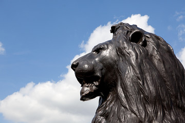 Wall Mural - Lion statue at Nelson's column, London