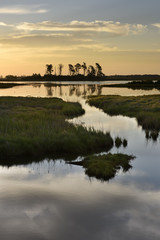 Wall Mural - Clouds Reflecting in Pond Along Virginia Coast.